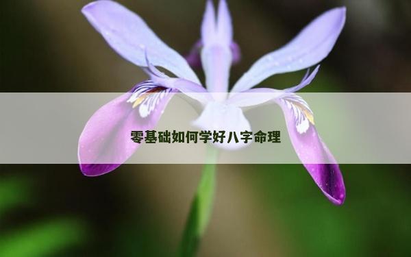 零基础如何学好八字命理