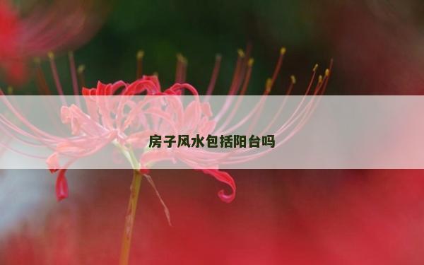 房子风水包括阳台吗
