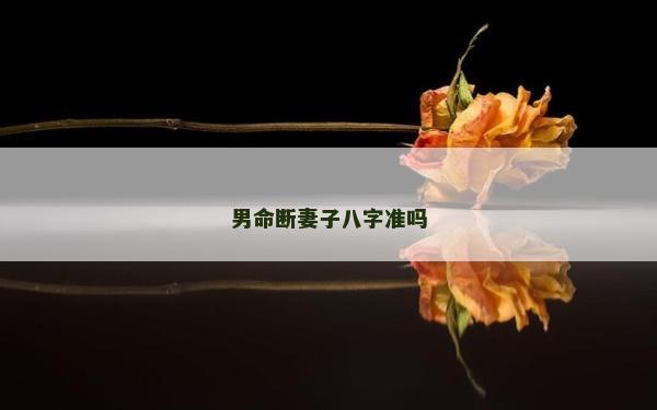 男命断妻子八字准吗