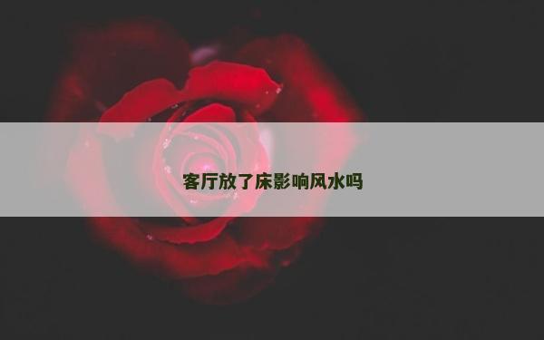客厅放了床影响风水吗