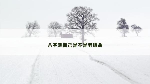 八字测自己是不是老板命
