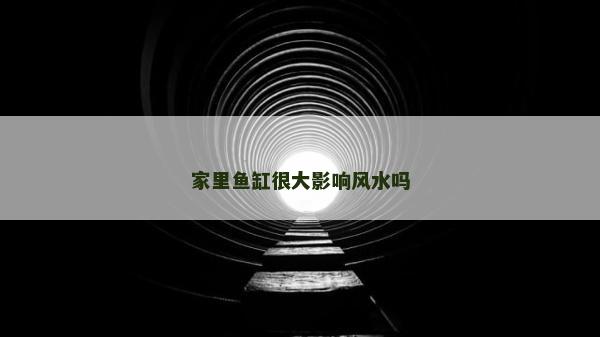 家里鱼缸很大影响风水吗