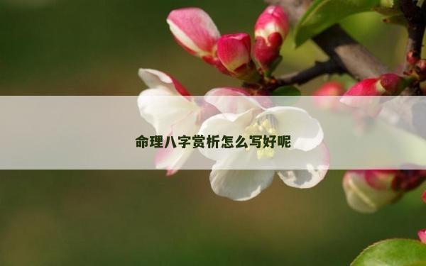 命理八字赏析怎么写好呢