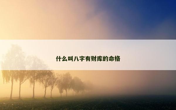 什么叫八字有财库的命格