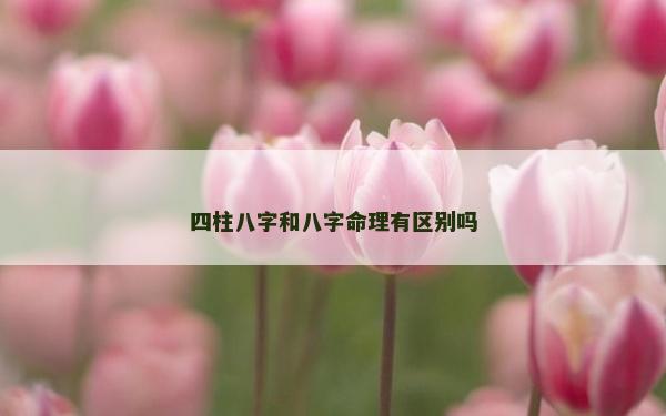 四柱八字和八字命理有区别吗