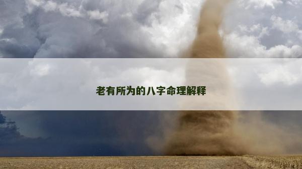 老有所为的八字命理解释