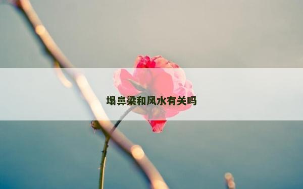 塌鼻梁和风水有关吗