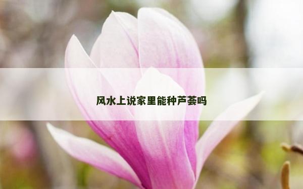 风水上说家里能种芦荟吗