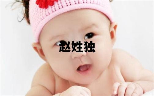 赵姓独特优美的男孩名字
