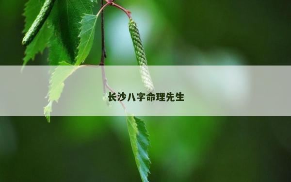 长沙八字命理先生