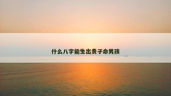 什么八字能生出贵子命男孩