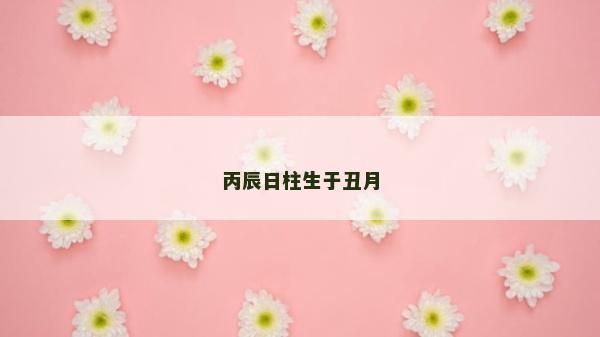 丙辰日柱生于丑月