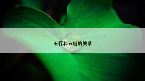 五行和五脏的关系