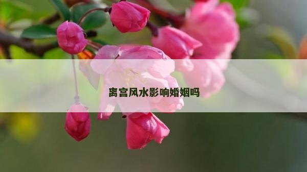 离宫风水影响婚姻吗
