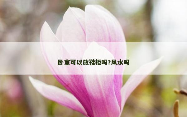 卧室可以放鞋柜吗?风水吗