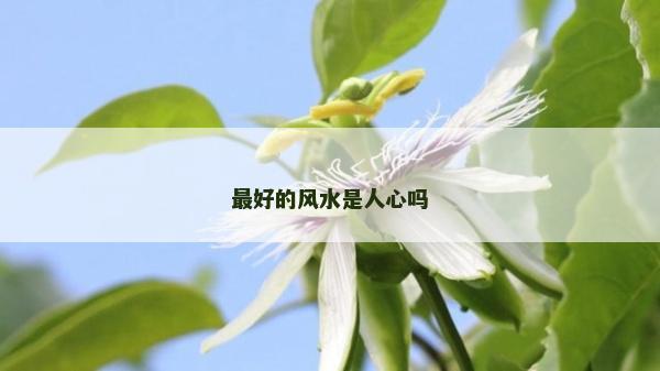 最好的风水是人心吗