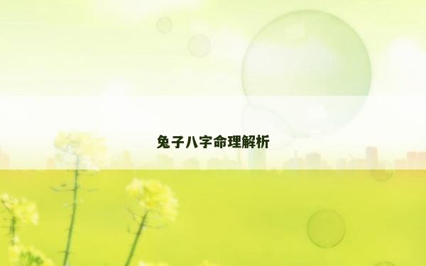 兔子八字命理解析