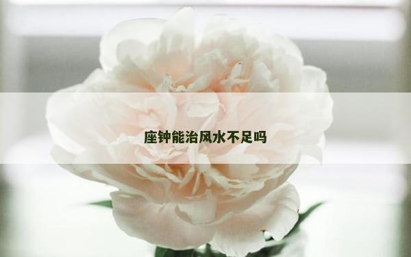 座钟能治风水不足吗