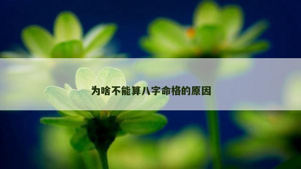 为啥不能算八字命格的原因