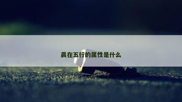 晨在五行的属性是什么