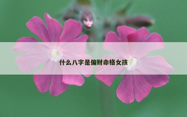 什么八字是偏财命格女孩