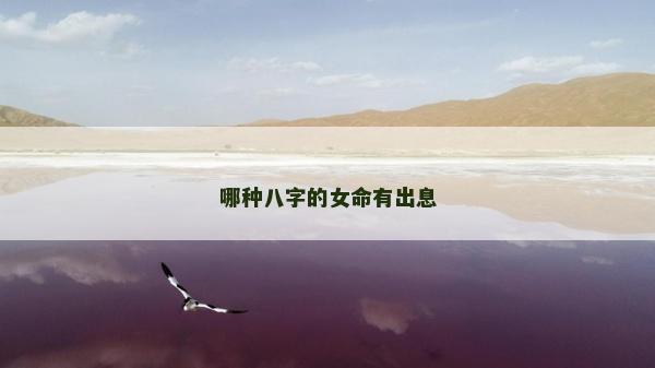 哪种八字的女命有出息
