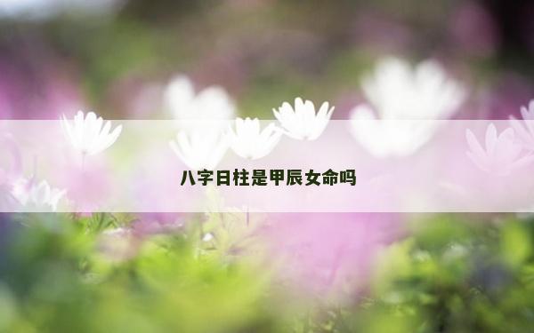 八字日柱是甲辰女命吗