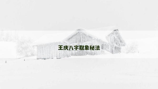 王庆八字取象秘法