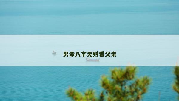 男命八字无财看父亲