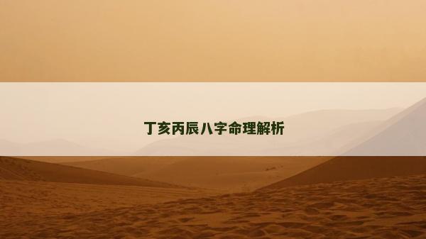 丁亥丙辰八字命理解析