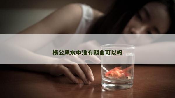 杨公风水中没有朝山可以吗