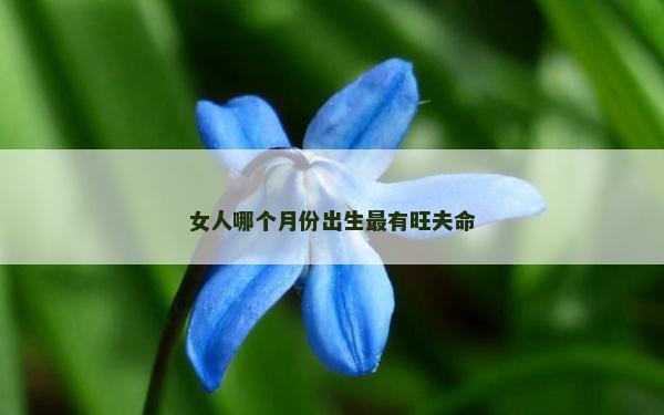 女人哪个月份出生最有旺夫命