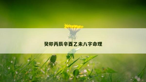 癸卯丙辰辛酉乙未八字命理