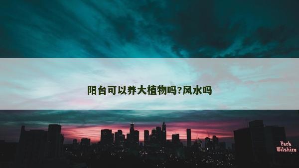 阳台可以养大植物吗?风水吗