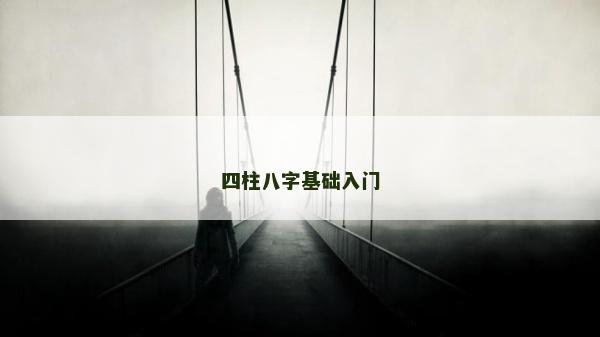 四柱八字基础入门