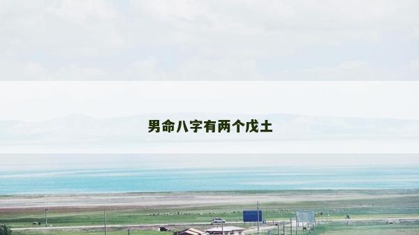 男命八字有两个戊土