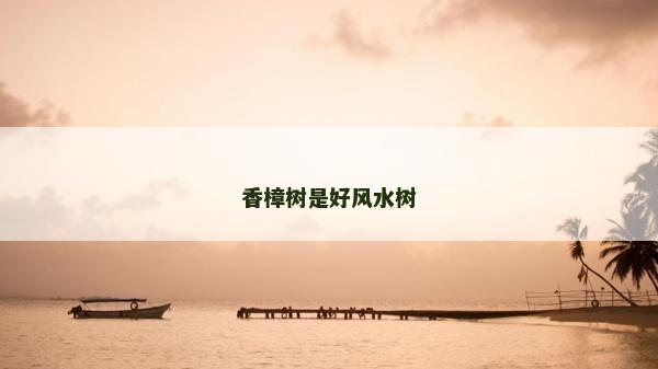 香樟树是好风水树
