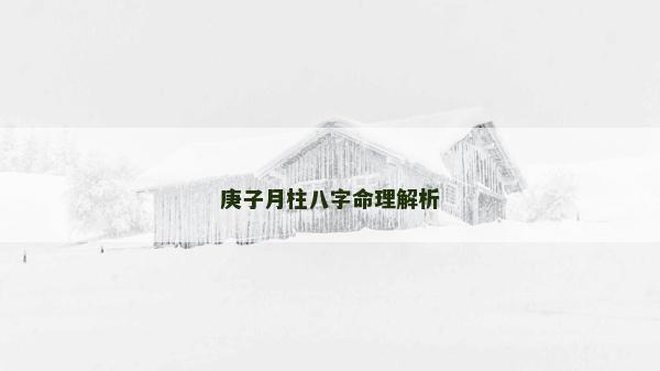 庚子月柱八字命理解析