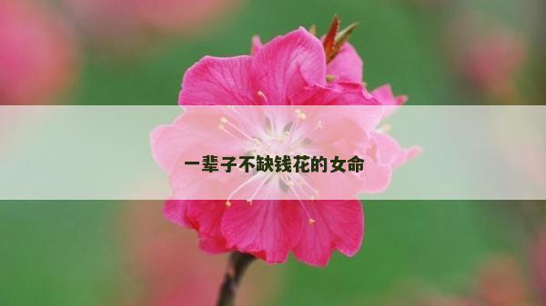 一辈子不缺钱花的女命