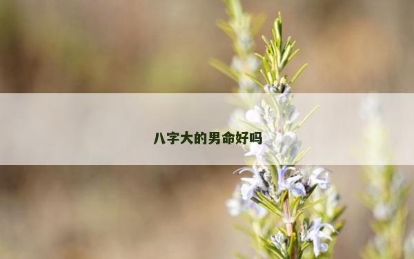 八字大的男命好吗