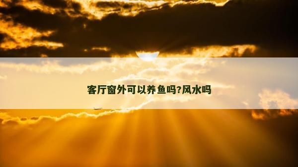 客厅窗外可以养鱼吗?风水吗