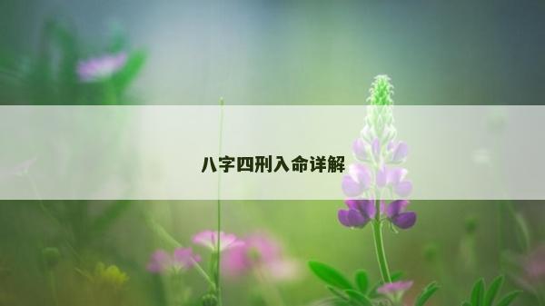 八字四刑入命详解