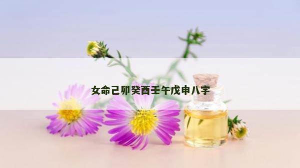 女命己卯癸酉壬午戊申八字
