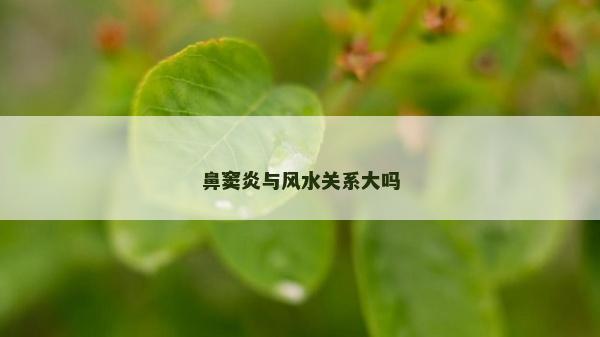鼻窦炎与风水关系大吗