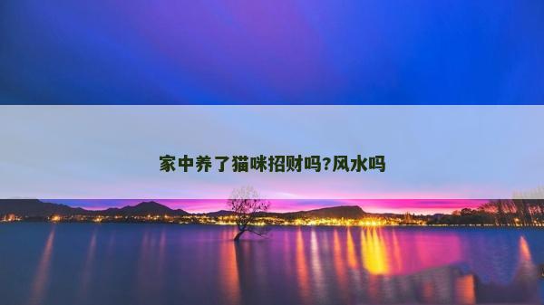 家中养了猫咪招财吗?风水吗