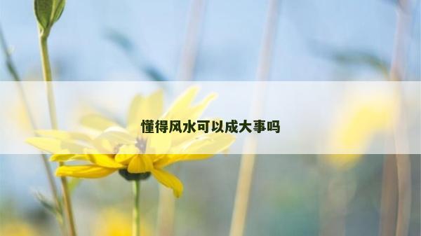 懂得风水可以成大事吗