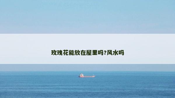 玫瑰花能放在屋里吗?风水吗