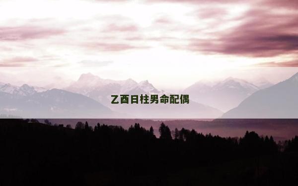 乙酉日柱男命配偶