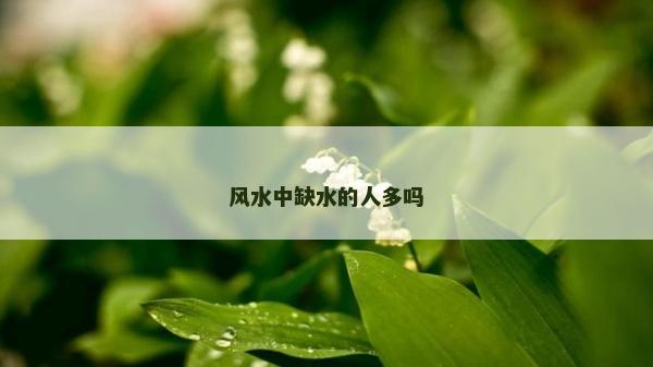 风水中缺水的人多吗