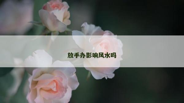 放手办影响风水吗